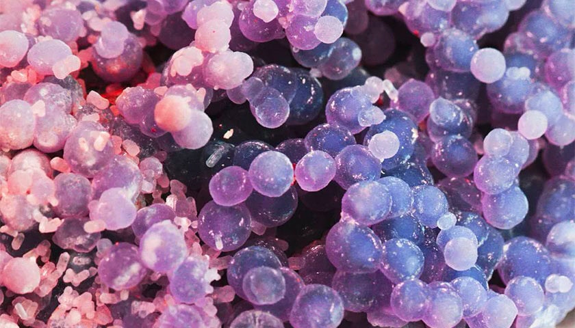 Grape Agate 03