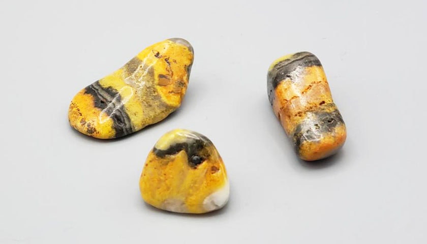 Bumblebee Jasper 02