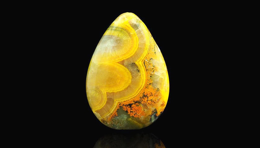 Bumblebee Jasper 03