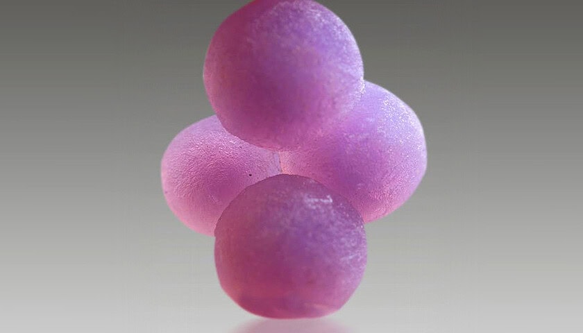 Grape Agate 3