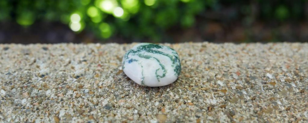 Tree Agate 2