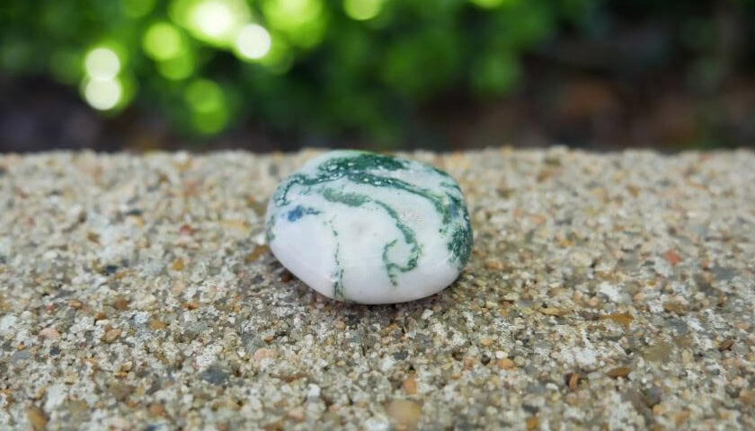 Tree Agate 2