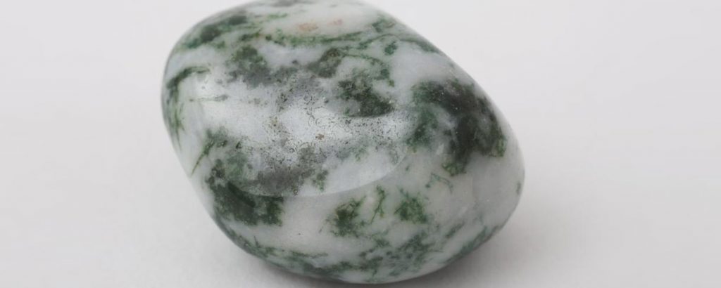 Tree Agate 3