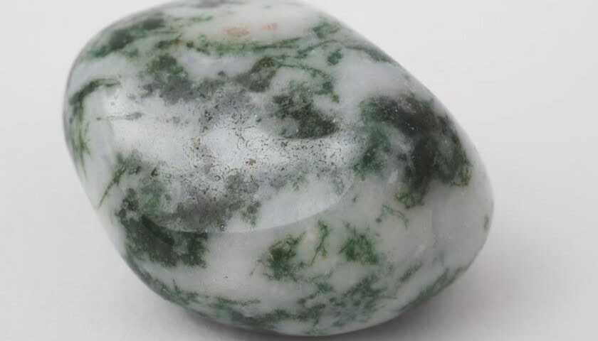 Tree Agate 3