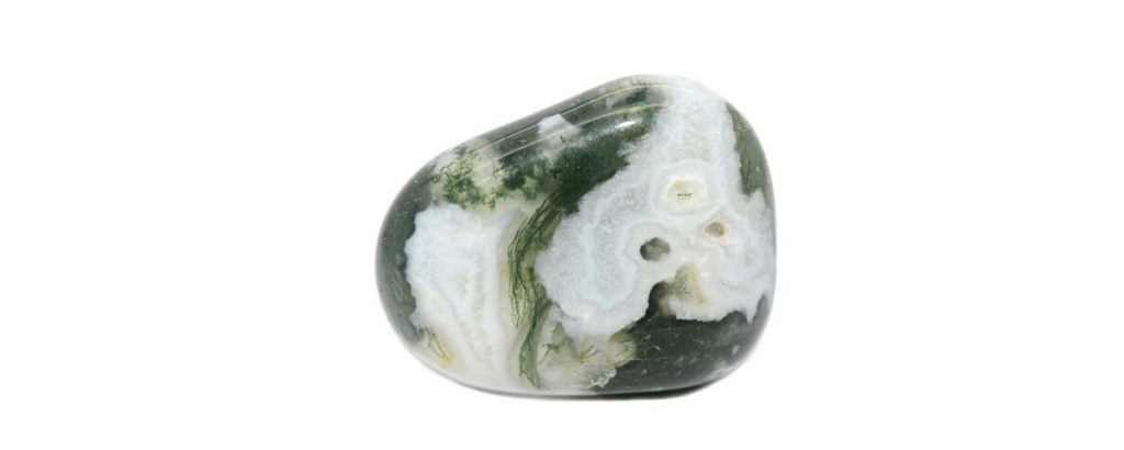 Tree Agate 4