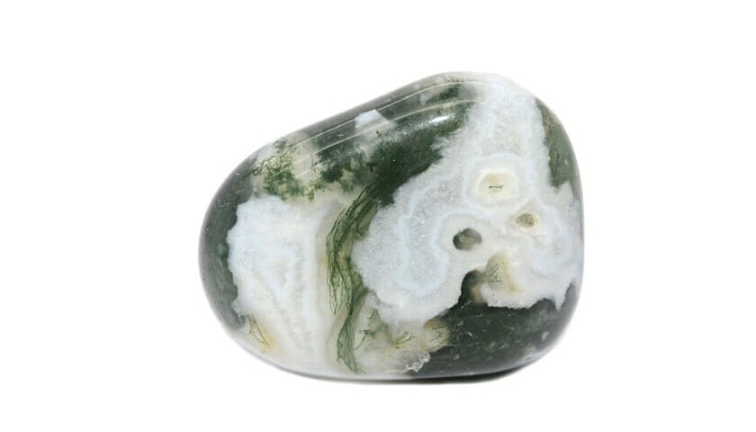 Tree Agate 4