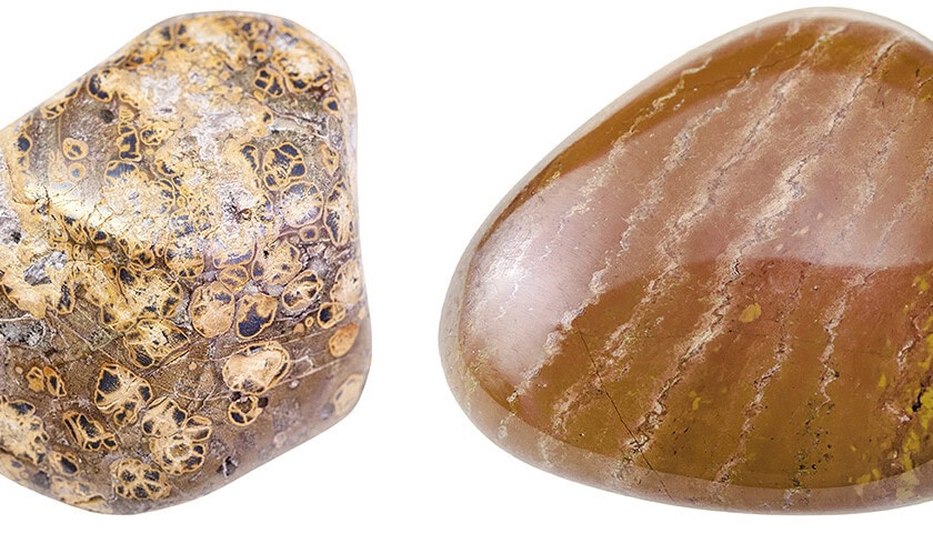 Brown Jasper 2