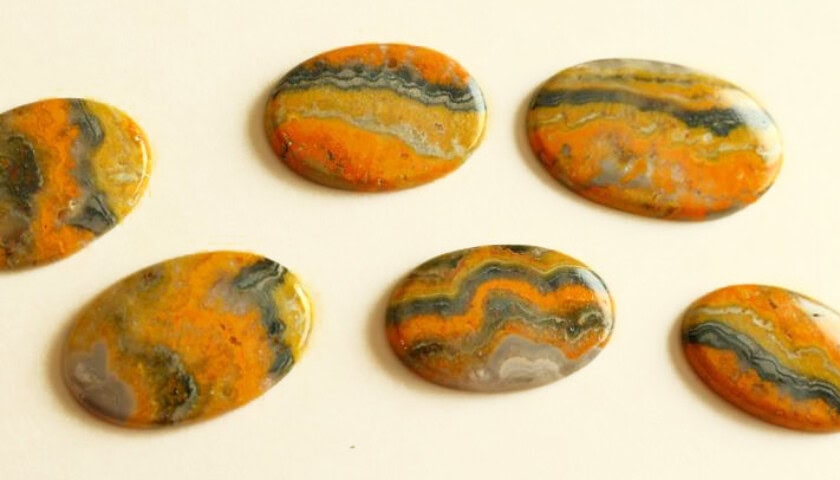 Bumble Bee Jasper 3