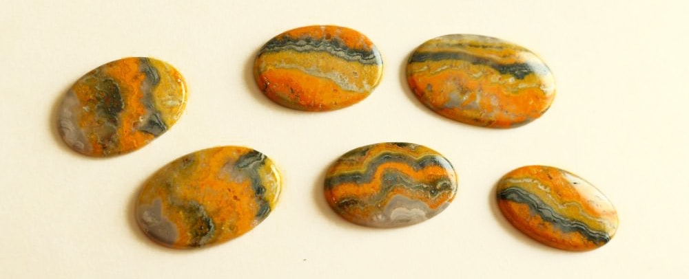 Bumble Bee Jasper 3