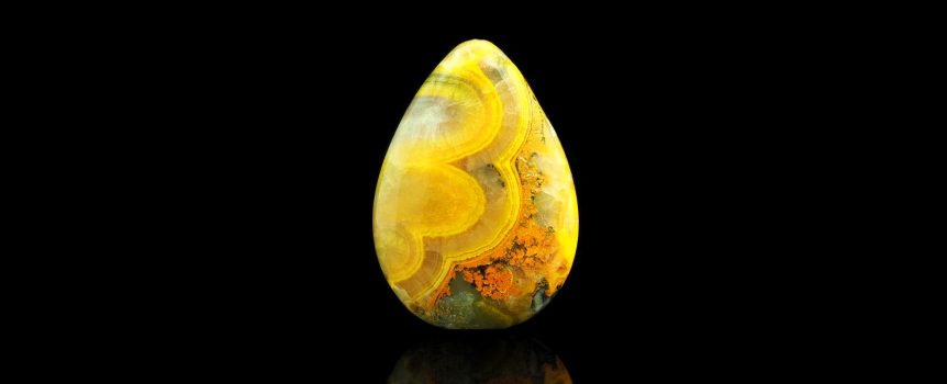 Bumble Bee Jasper