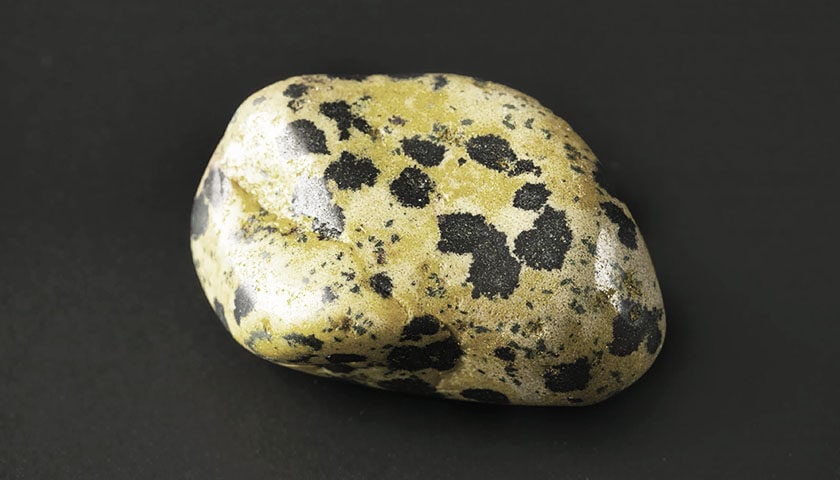 Dalmatian Jasper 11