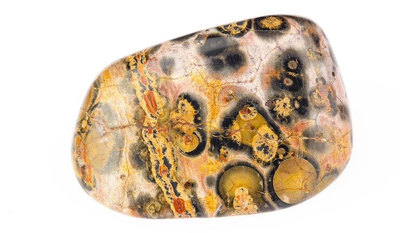 Ocean Jasper 01