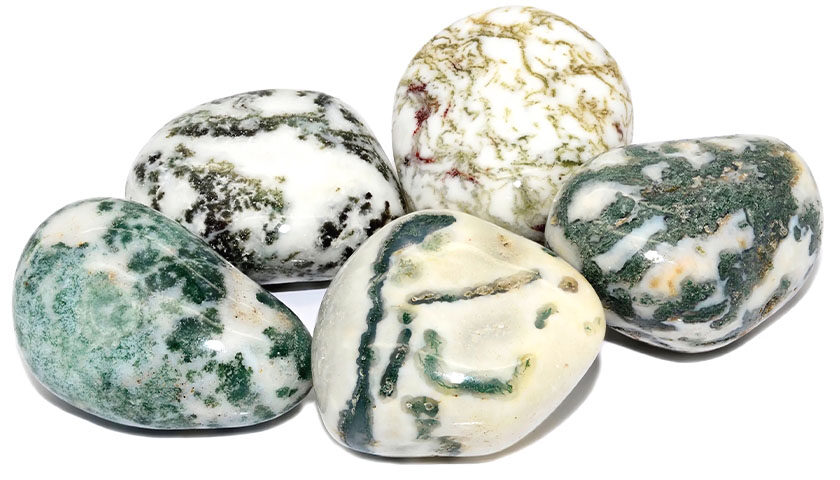 Tree Agate Dentritic Agate 03