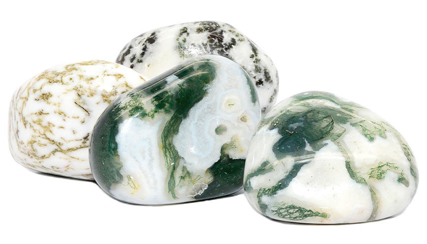 Tree Agate Dentritic Agate 11